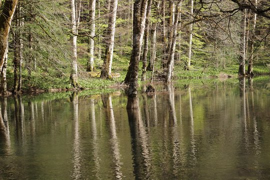 Tour image 6