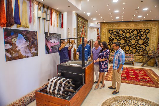Tour image 6
