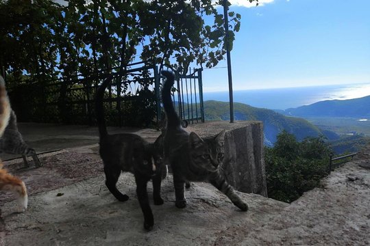 Tour image 13