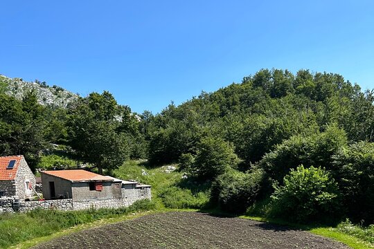 Tour image 3