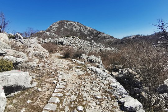 Tour image 7